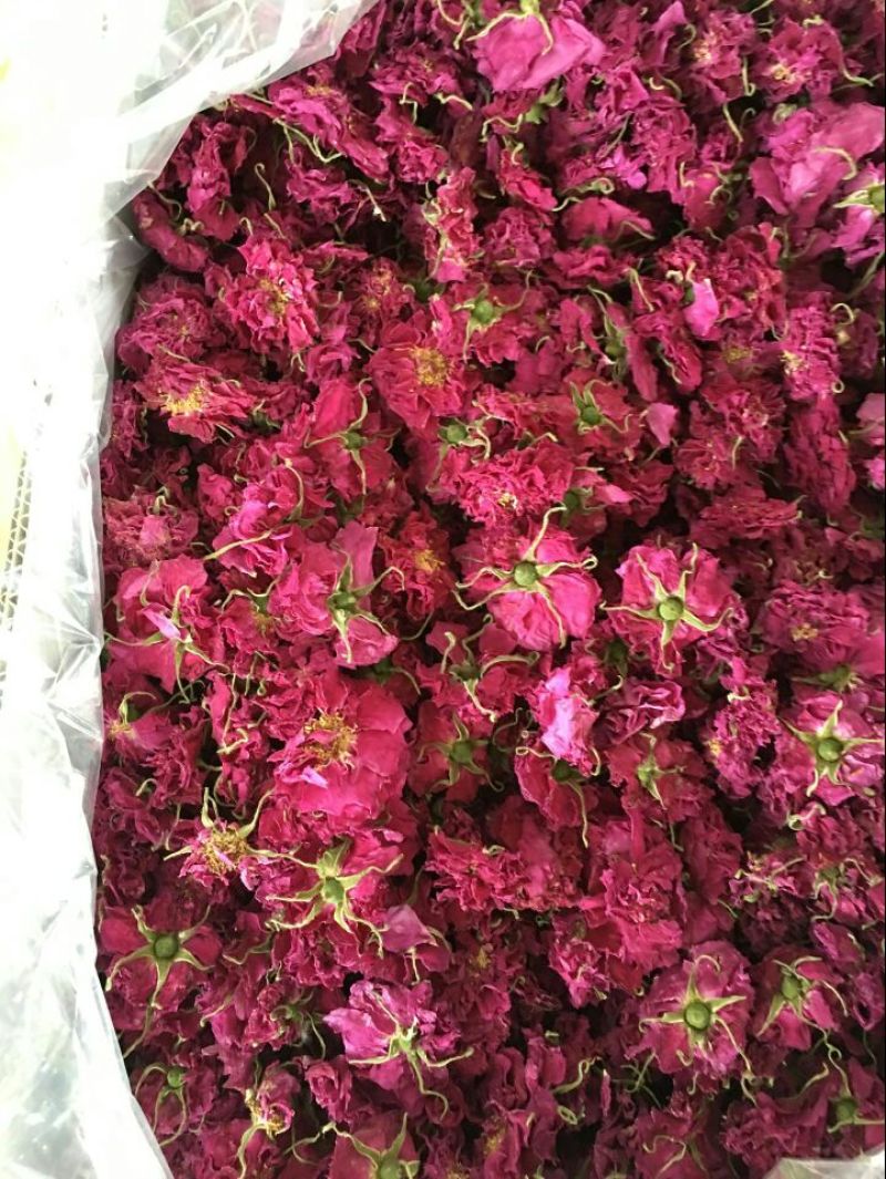 玫瑰花茶