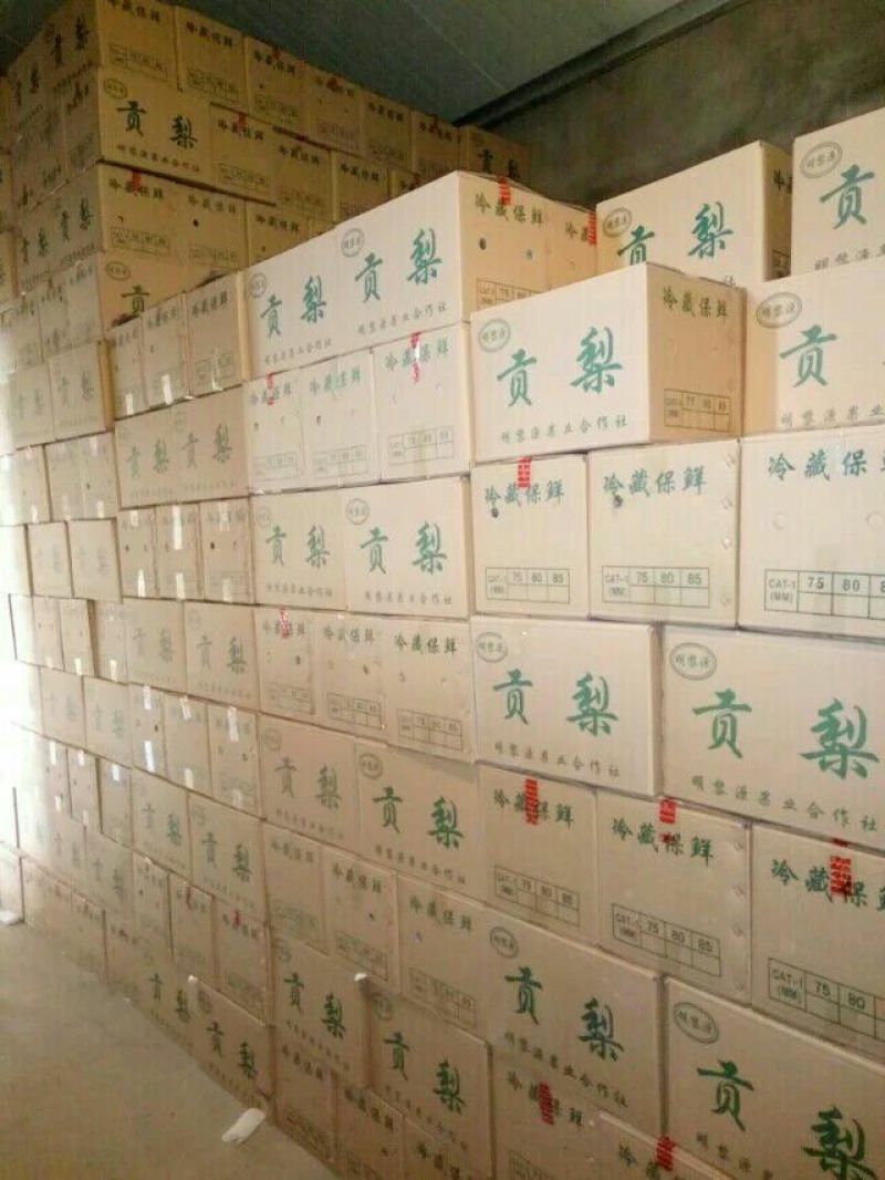酥梨纸箱350~400g