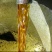 压榨菜籽油二级