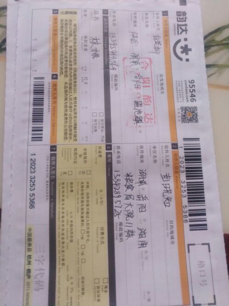 香玲核桃25mm以下去皮干
