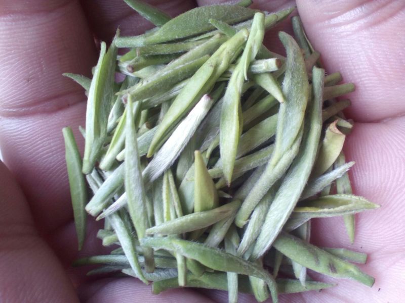 本山茶一级