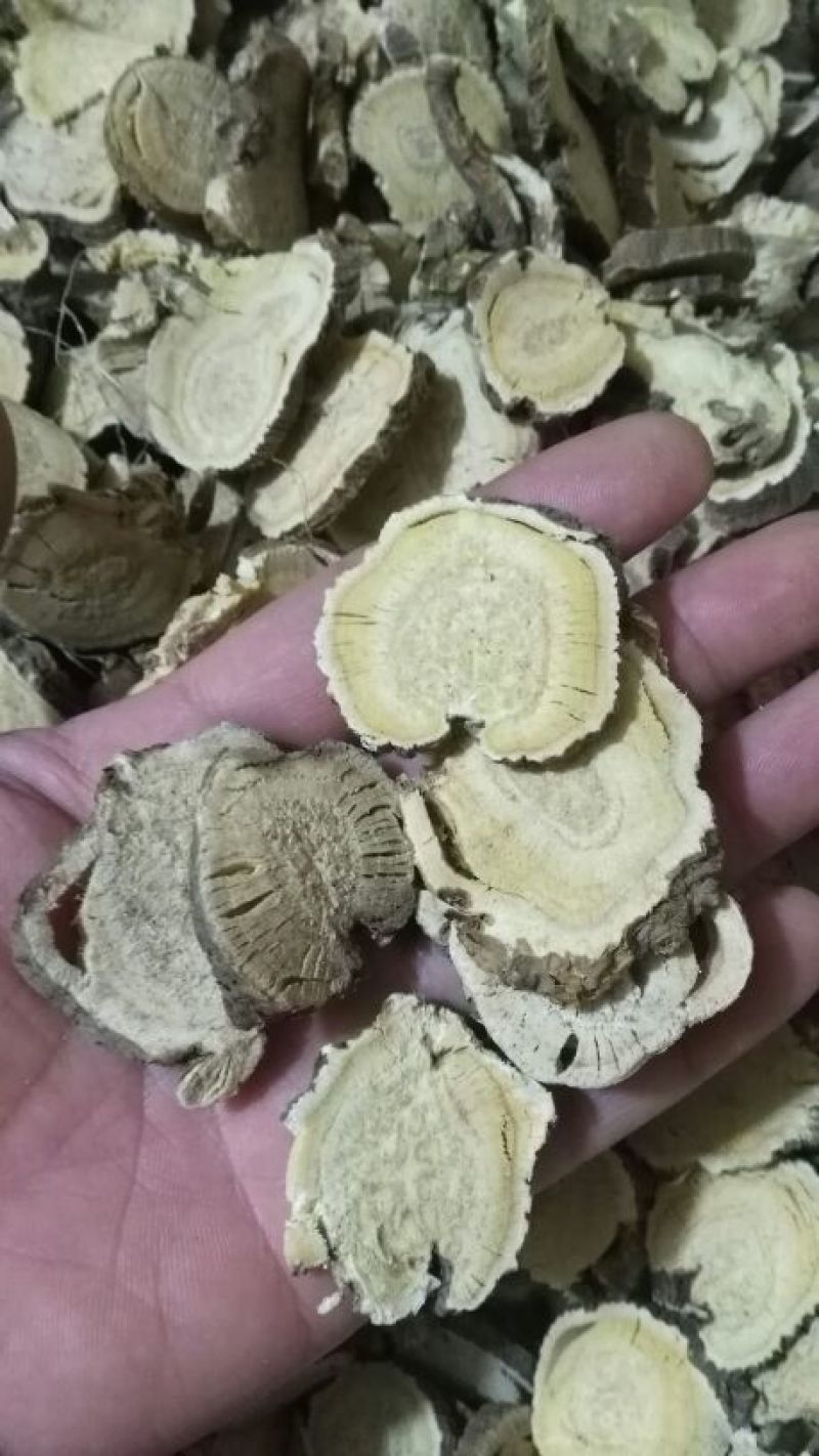 苦参选货