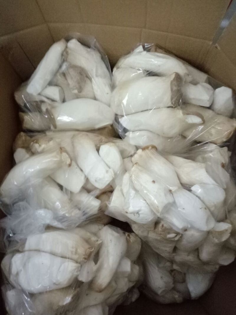 杏鲍菇蕾二级