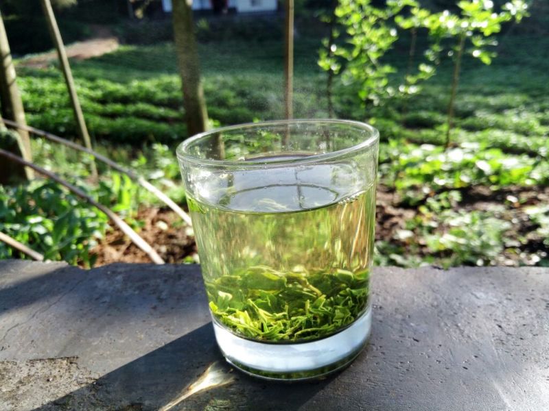 五峰绿茶
