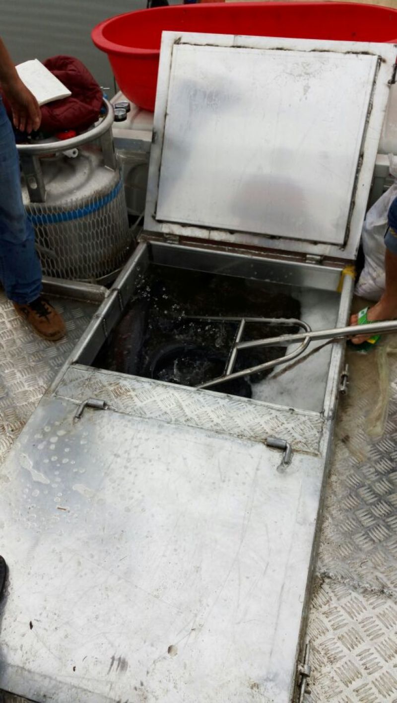 鲤鱼1~2公斤饲料