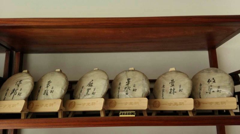 百年大树茶特级