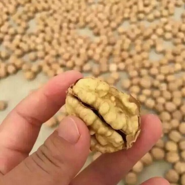 薄皮核桃去皮