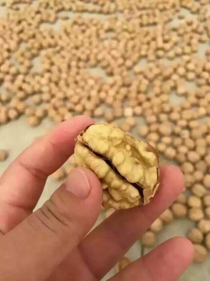 薄皮核桃去皮