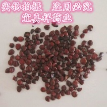 酸枣仁统货