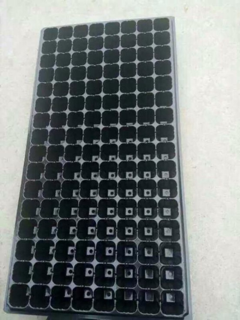 穴盘