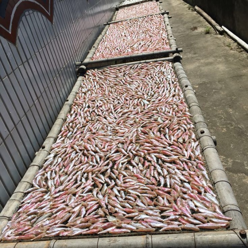 鱼干
