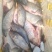 鲤鱼干