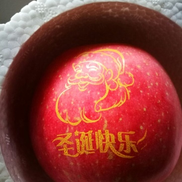 红富士苹果80mm以上纸袋