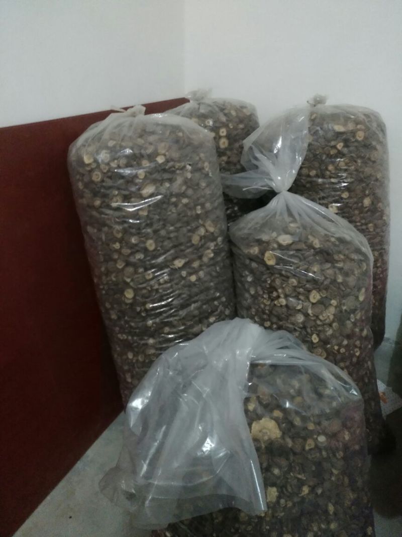 干香菇3cm以上