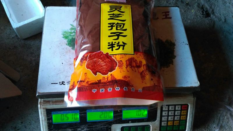 灵芝孢子粉【火爆中】长白山赤灵芝孢子粉！产地直销诚招代理