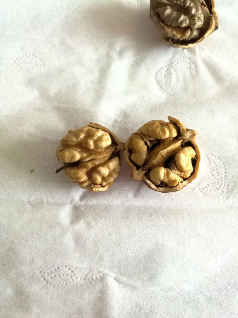 薄皮核桃25mm以下去皮