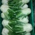 罗马生菜4两~5两