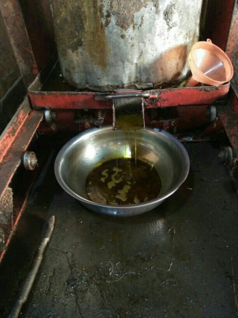 压榨菜籽油四级
