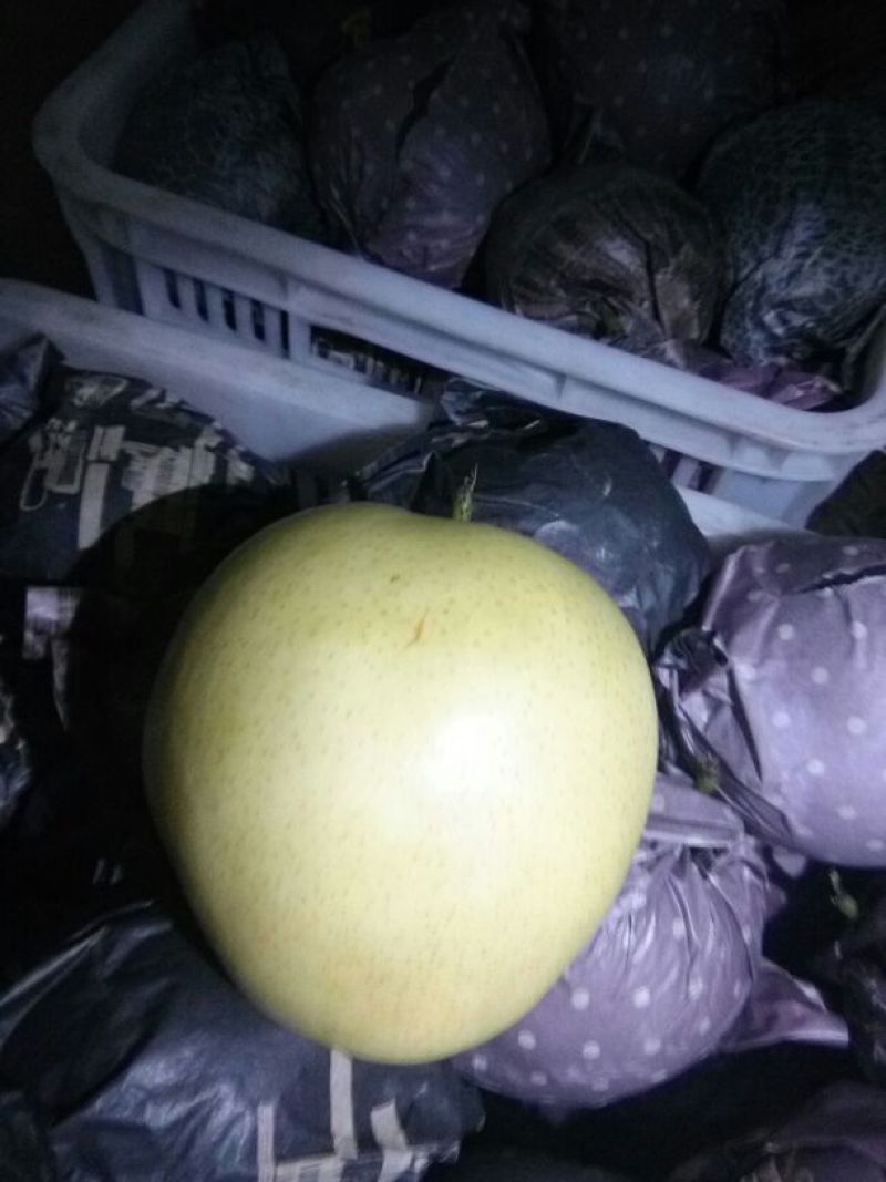 皇冠梨250~300g纸袋