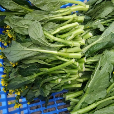 蔬菜