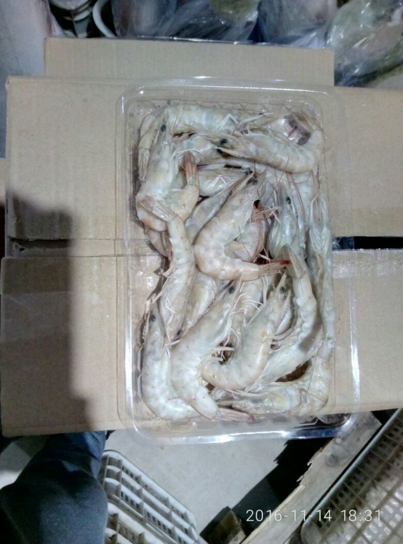 青虾食用13~15只/kg