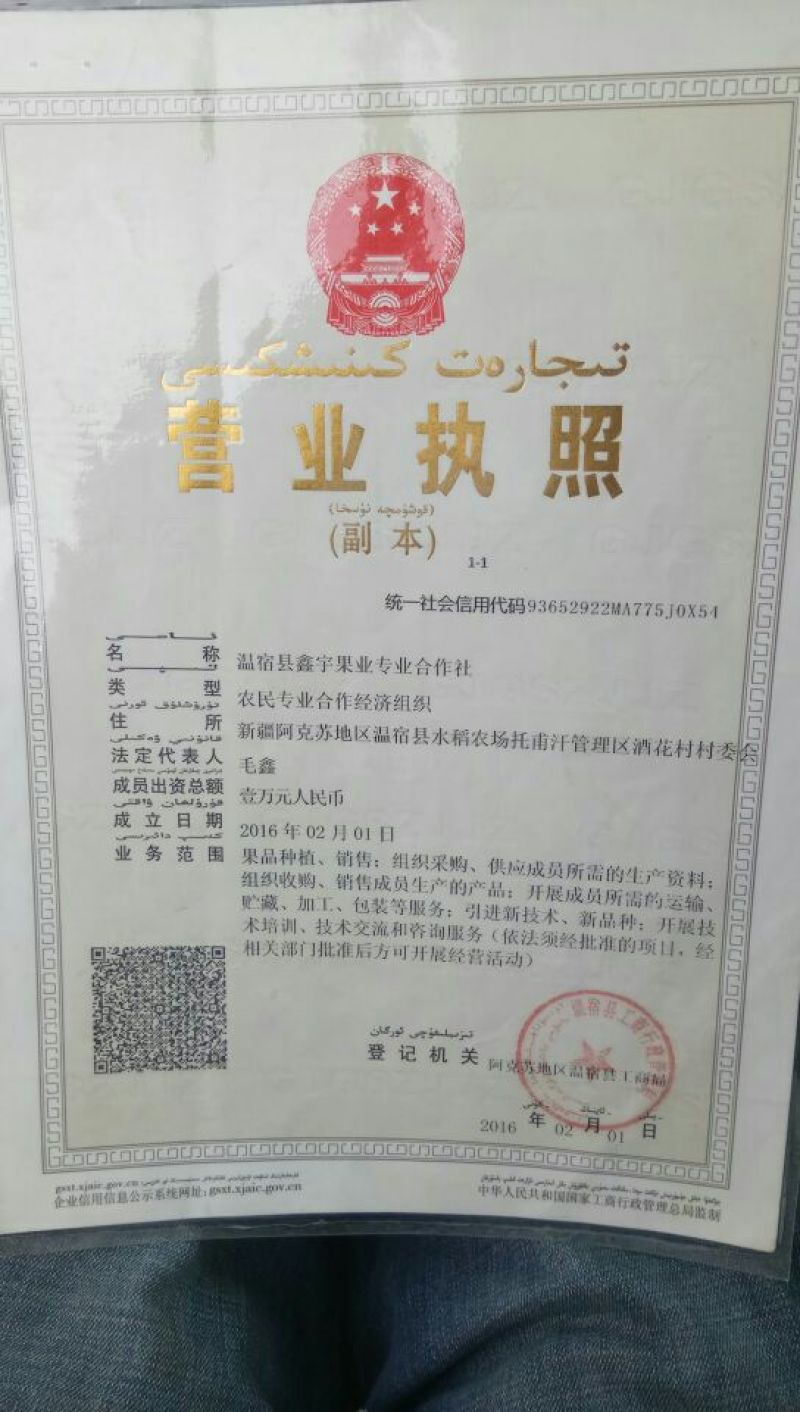 新疆红枣干枣特级