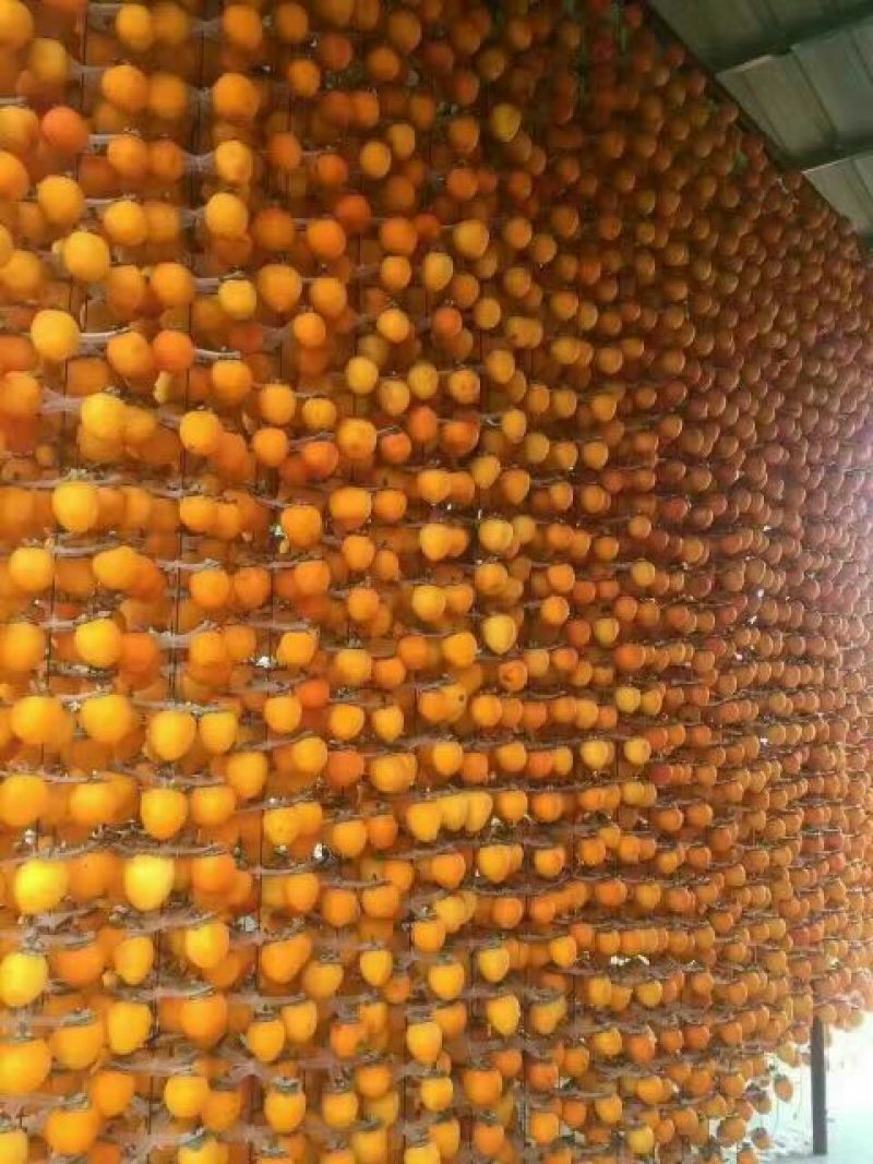柿饼1~2两