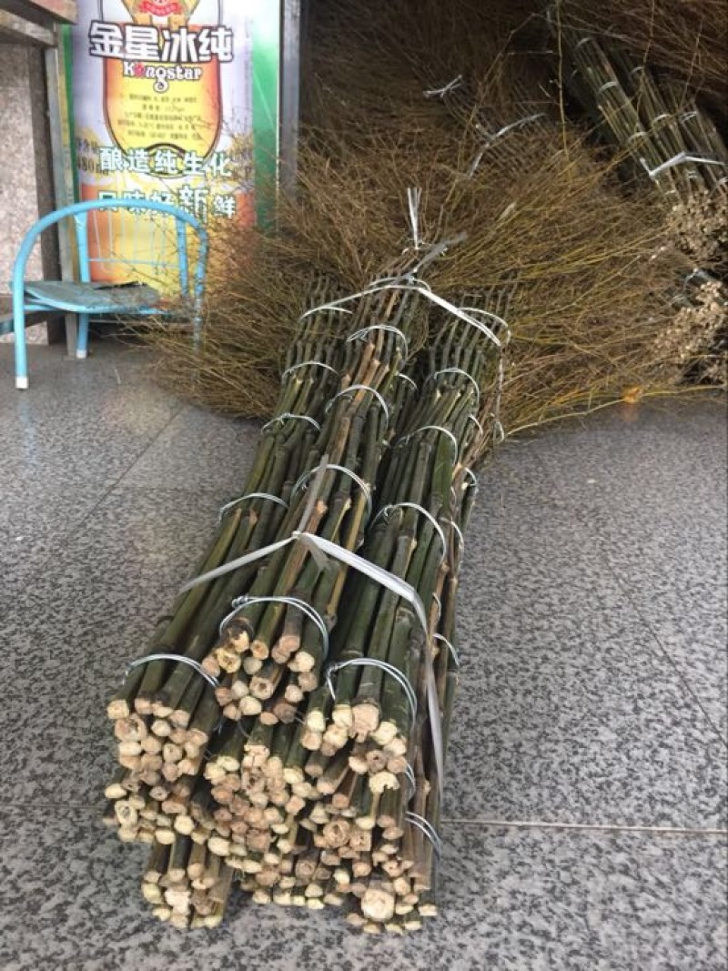 扫帚
