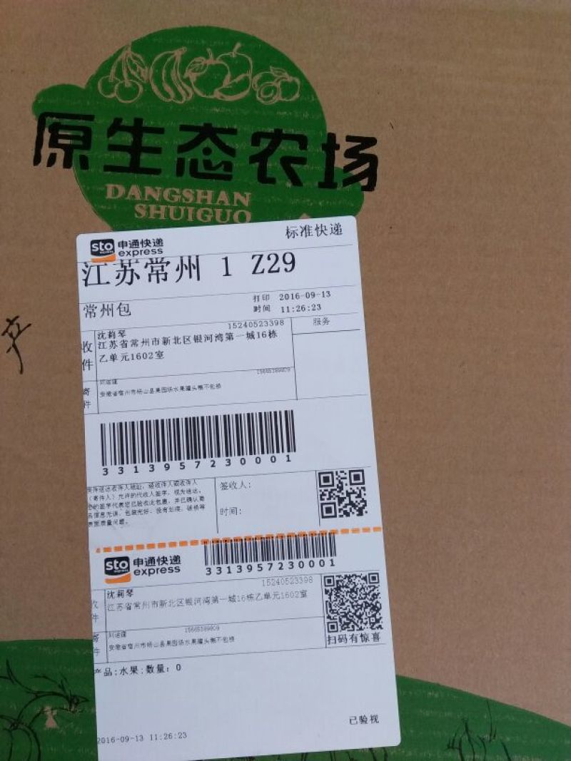 砀山梨250~300g光果