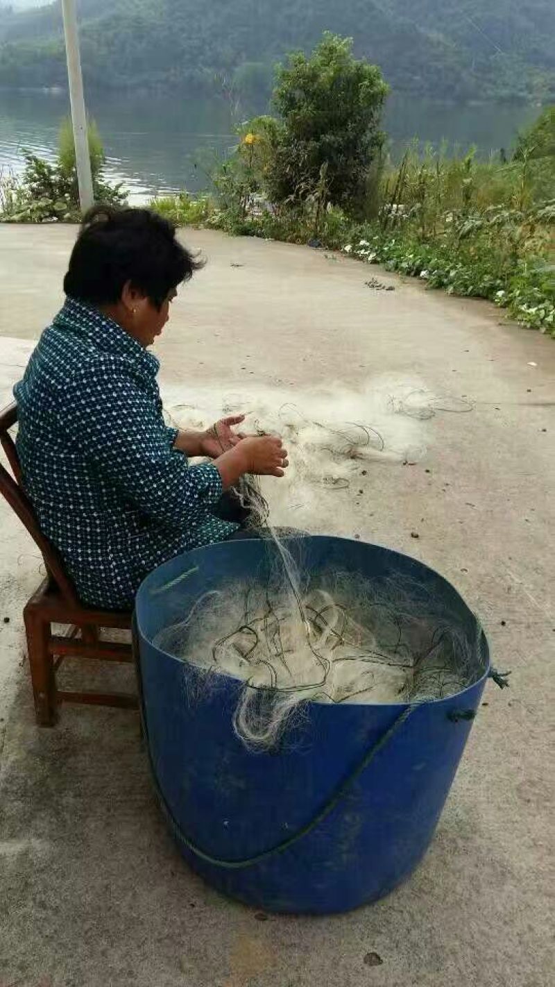 刁子鱼干