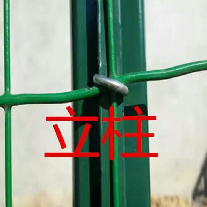 荷兰网