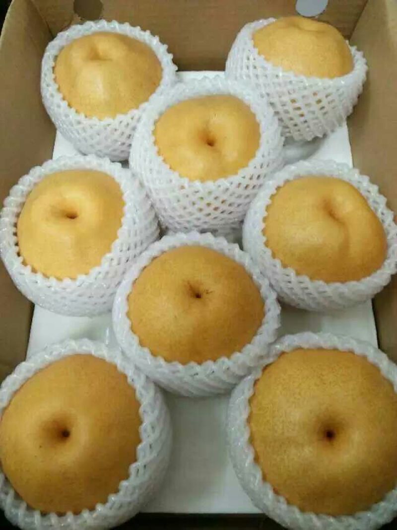 晚秋黄梨100~150g纸袋