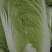 白花菜散装