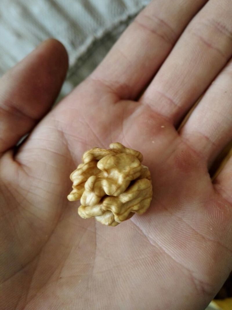 核桃30mm以上去皮