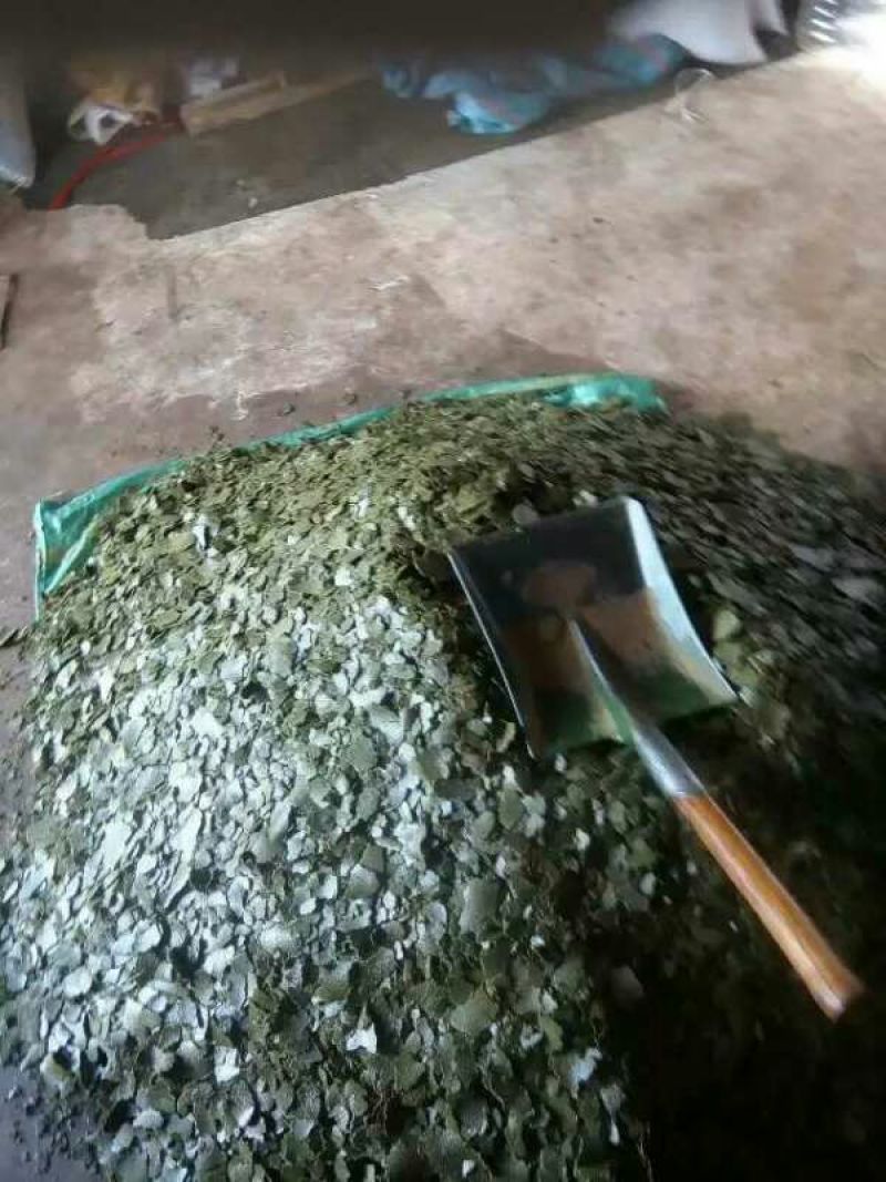 压榨菜籽油一级