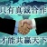 绿甘蓝0.5~1公斤，韩国青系列