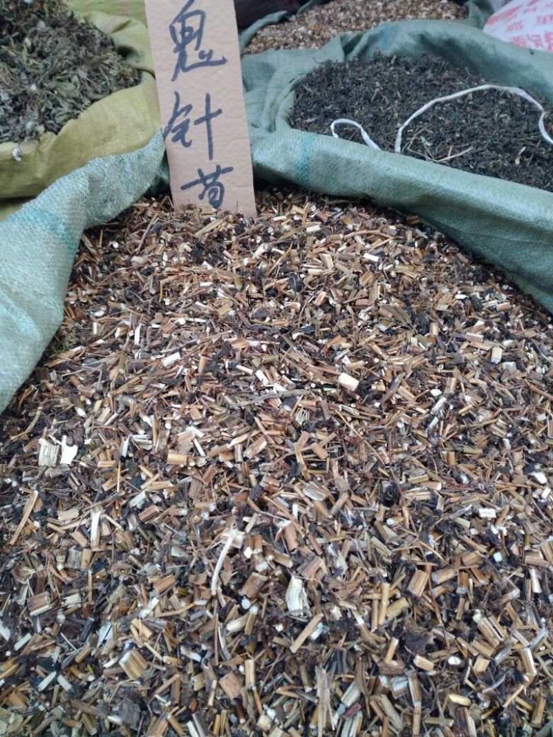 鬼针草