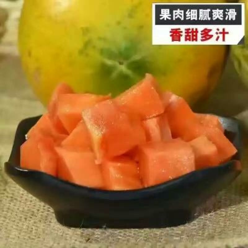 水果木瓜1.5~2斤