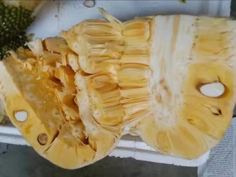 菠萝蜜