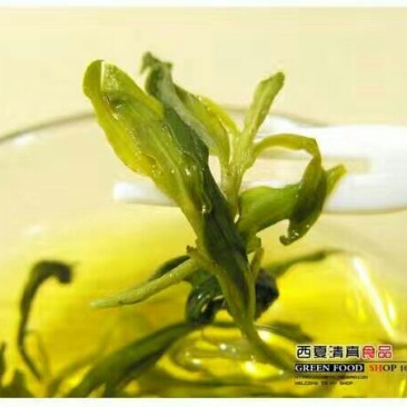 枸杞叶茶特级