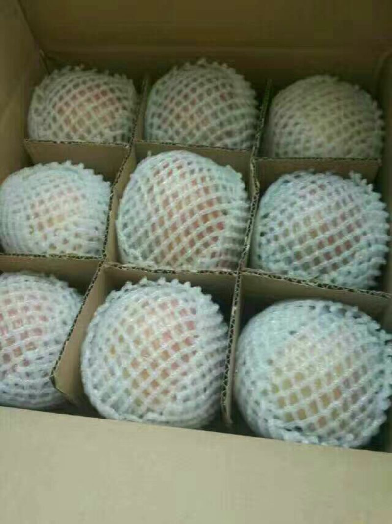 红富士苹果