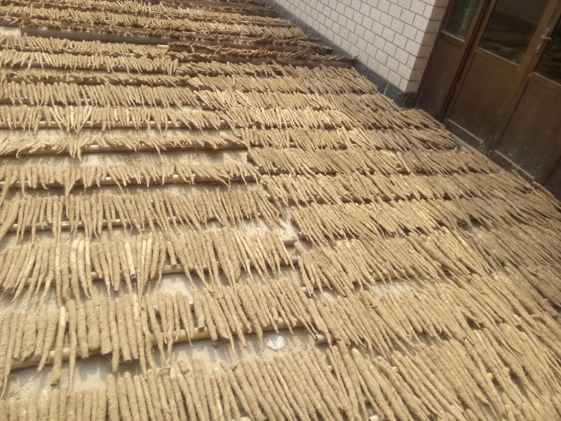 小白嘴白山药2~3厘米20~25厘米