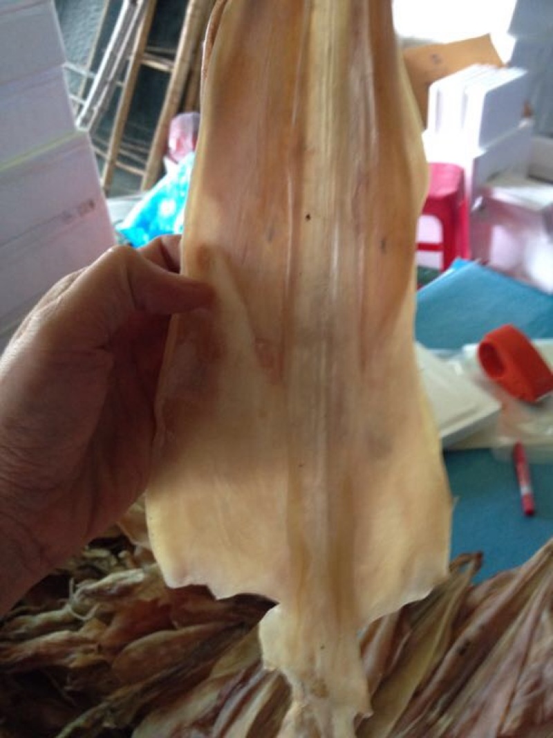 鱿鱼干