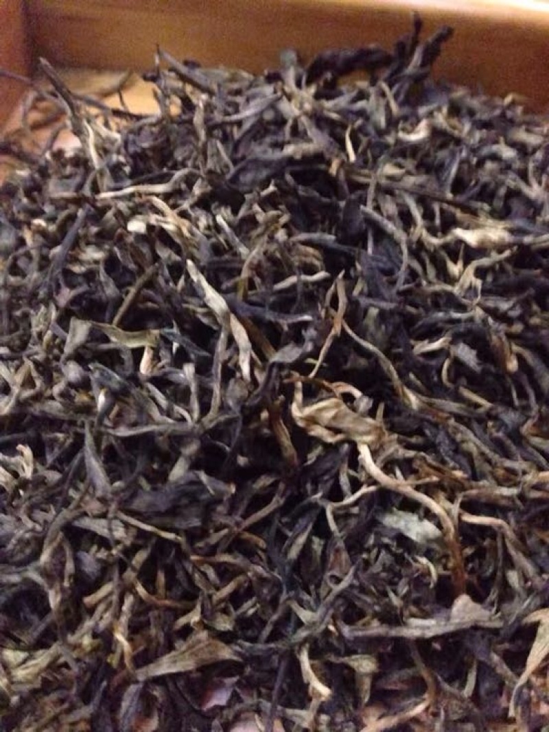 老树茶