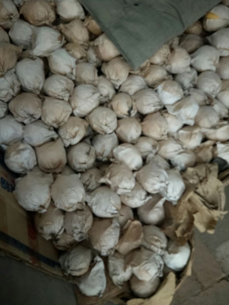 酥梨150~200g纸加膜