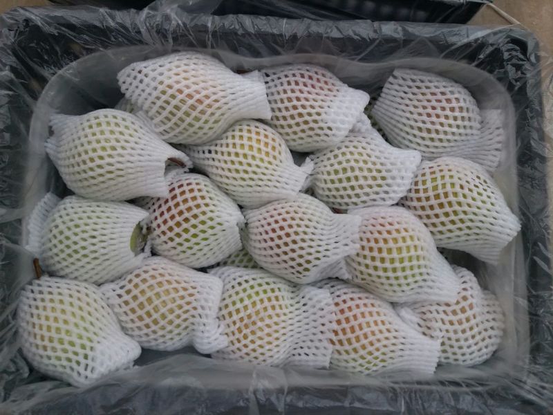 玉露香350~400g纸箱