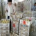 泰州白鹅鹅苗250g以上
