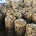 新土豆🥔2两以上精品产地直发货源充足