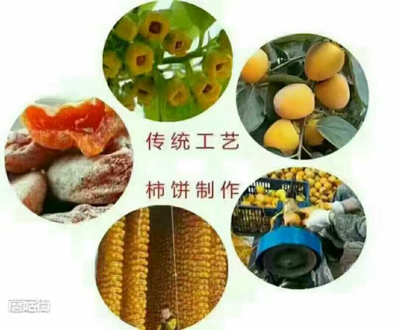 柿饼1~2两
