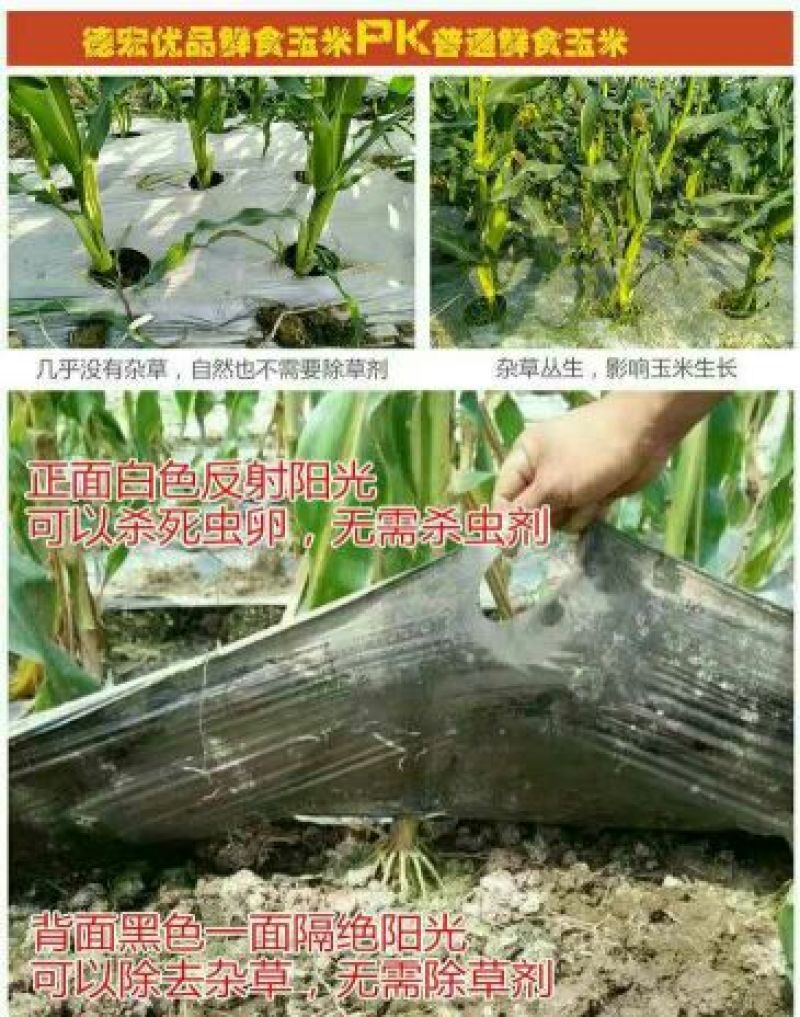 地膜，无公害，可降减打孔地膜，多色可选，蔬菜花卉等